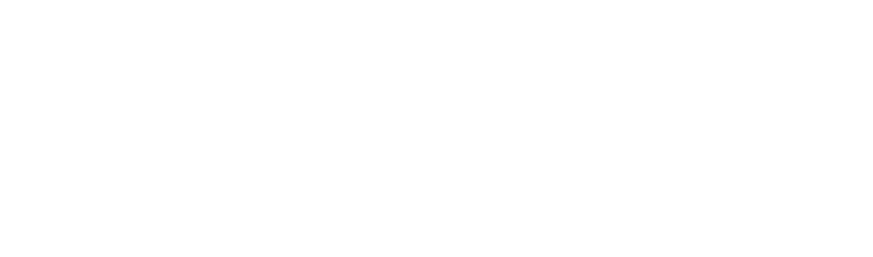 Logo decole